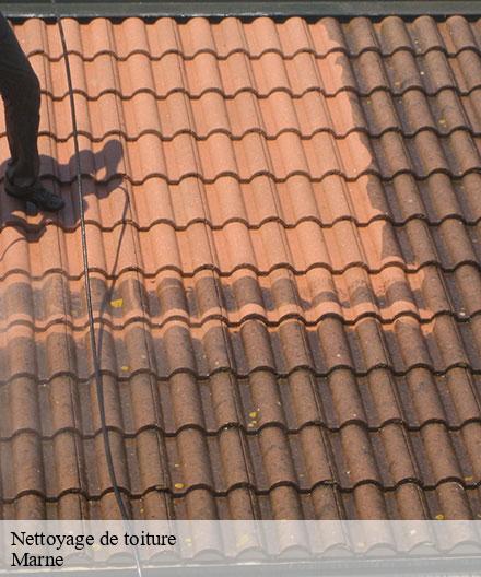 Nettoyage de toiture 51 Marne   Artisan Klatt père et fils