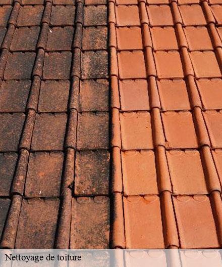 Nettoyage de toiture 51 Marne   Artisan Klatt père et fils