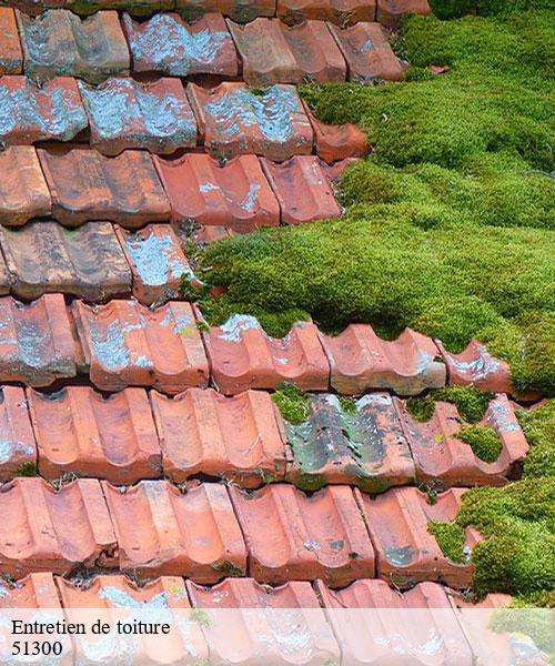 Entretien de toiture   maisons-en-champagne-51300 les toitures bottier